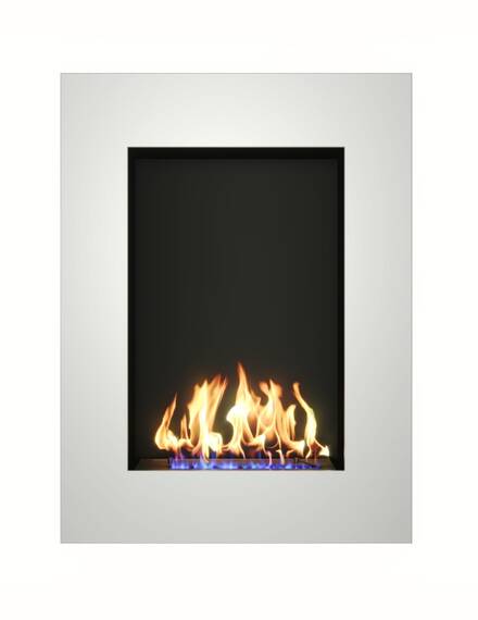 Биокамин Zefire Albert