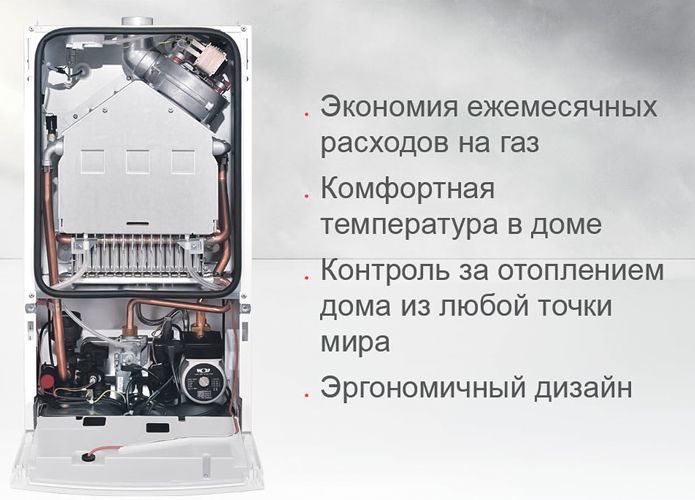 Настенный газовый котел Wolf CGG-3-24