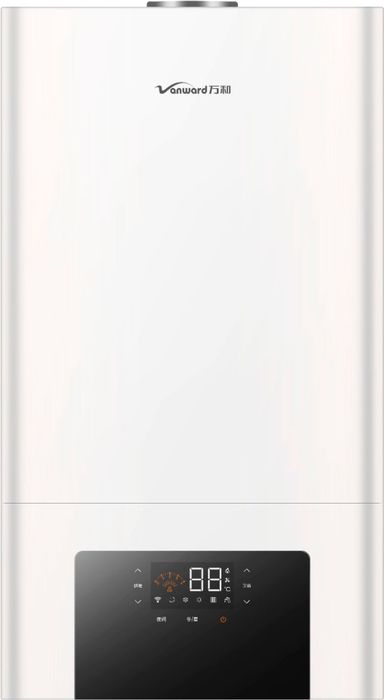 Настенный газовый котел Vanward PIONEER ATMO 21C